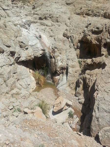 abshar 4
