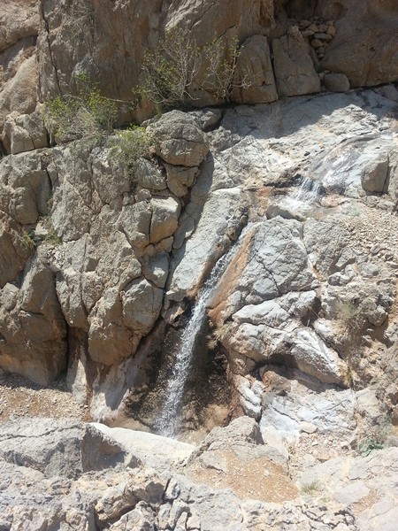 abshar 6