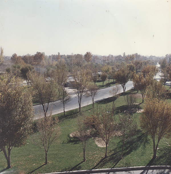 3rahmoaalem74